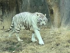 -杭州野生动物世界