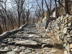 -阳台山自然风景区