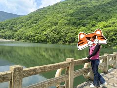-龙道沟景区