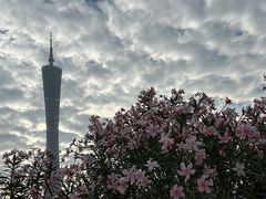-海心沙亚运公园