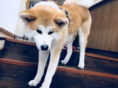 -YCHL Studios健身工作室(市二宫店)