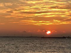 -上海吴淞炮台湾国家湿地公园