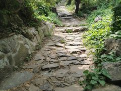 -阳台山自然风景区