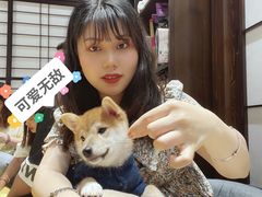 -逗柴咖啡屋·狗咖猫咖宠物桌游