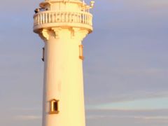 -上海吴淞炮台湾国家湿地公园