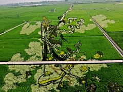 景点-稻梦空间