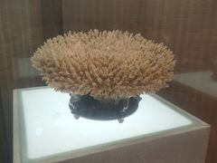 -天怡·鱼工厂(临江店)