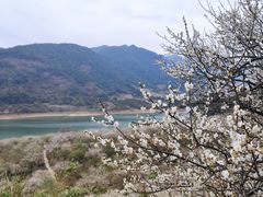 -广州市流溪河国家森林公园