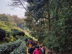-西湖风景区十里琅珰-五云山