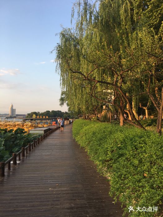 玄武湖公园-图片-南京周边游-大众点评网