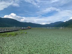 -腾冲北海湿地