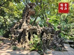 -广州兰圃