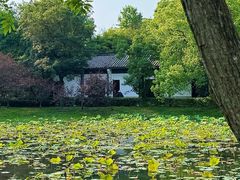 -西溪国家湿地公园