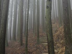 -山王坪喀斯特国家生态公园