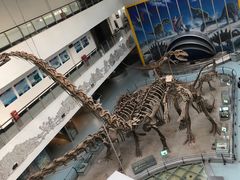 -中国地质大学逸夫博物馆