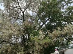 -山海关风景区-售票处