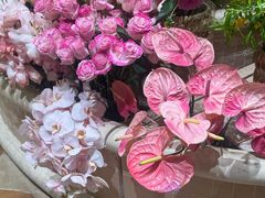 -BEAST野兽派(上海浦东嘉里城店)