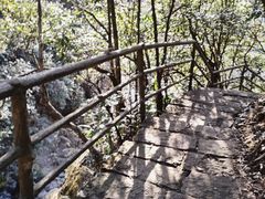 -东天目山风景区
