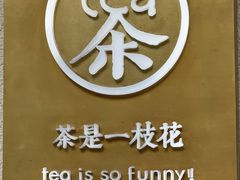 -茶是一枝花泡茶店