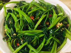 空心菜-津津食品店