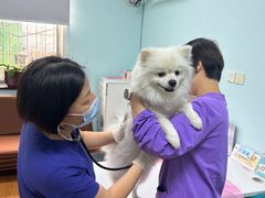 -北京观赏动物医院·24小时大型综合·猫专科·异宠专科
