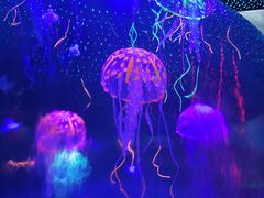 -常州海昌海洋探索馆
