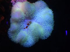 -沈阳海洋探索中心