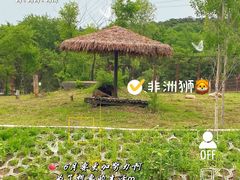 -沈阳森林动物园