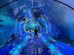 -重庆欢乐海底世界