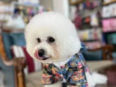 -欧奕国际动物医院