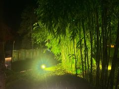 -崇阳三特浪口温泉