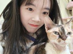 -Meowの猫咖(万家丽店)