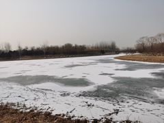 -大兴滨河森林公园