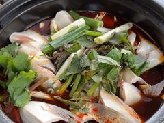 -老杨砂锅鱼庄