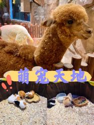 -宝燕乐园(闵行旗舰店)