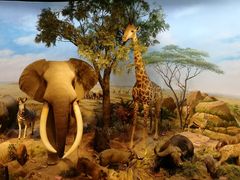 -陕西自然博物馆