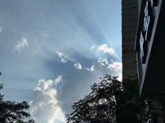 -文瀛公园