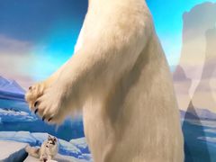 -陕西自然博物馆