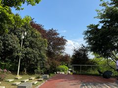 -铁山坪森林公园