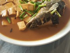 鲶鱼豆腐-鲜鱼居饭店