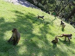 -姑婆山旅游区