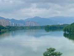 -飞来湖湿地公园
