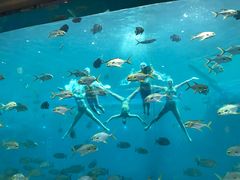 -瑞德姆美人鱼海底演艺主题餐厅(亚龙湾店)