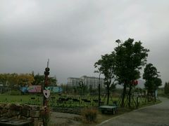 -田园东方蜜桃村的田野营地