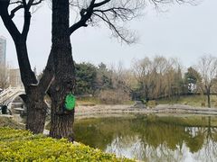 -团结湖公园