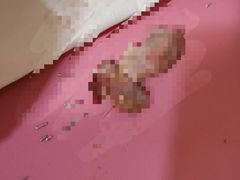 -欧奕国际动物医院