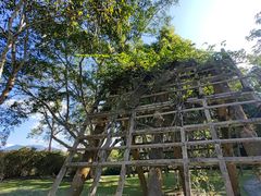 -中国科学院西双版纳热带植物园