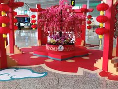 -广州白云国际机场-T2航站楼
