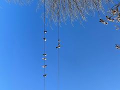 -VOYAGE COFFEE(北锣鼓巷店)