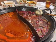 -朱光玉火锅馆(正弘城店)